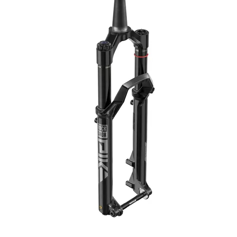 ridewill3931202