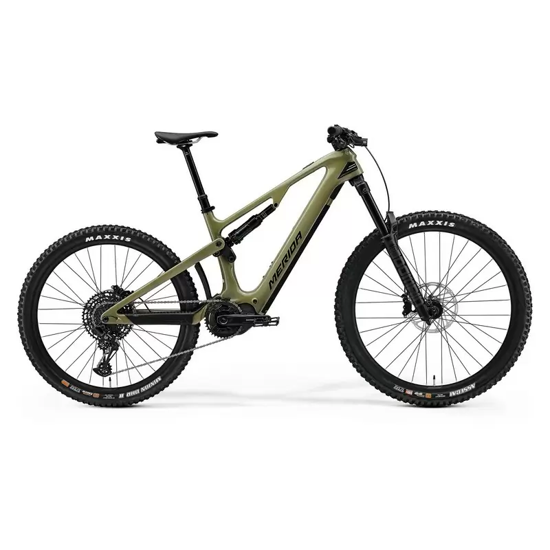 ridewill3936192