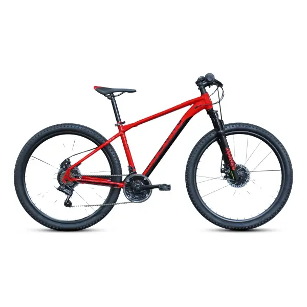 ridewill3936895