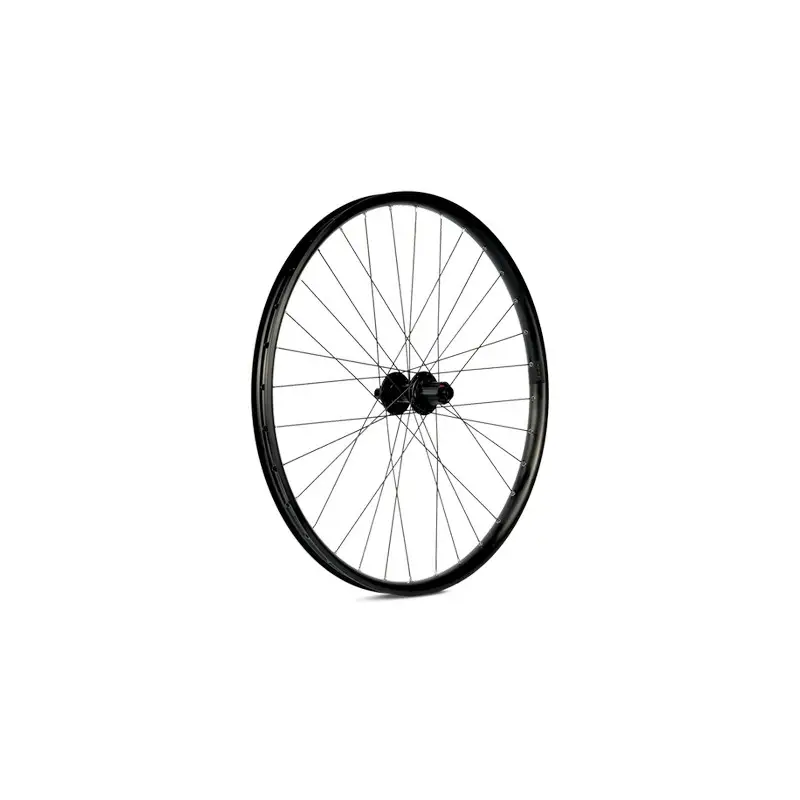 ridewill3953829