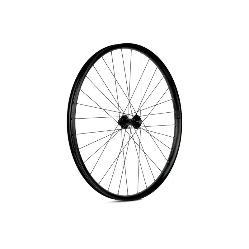 ridewill3953862