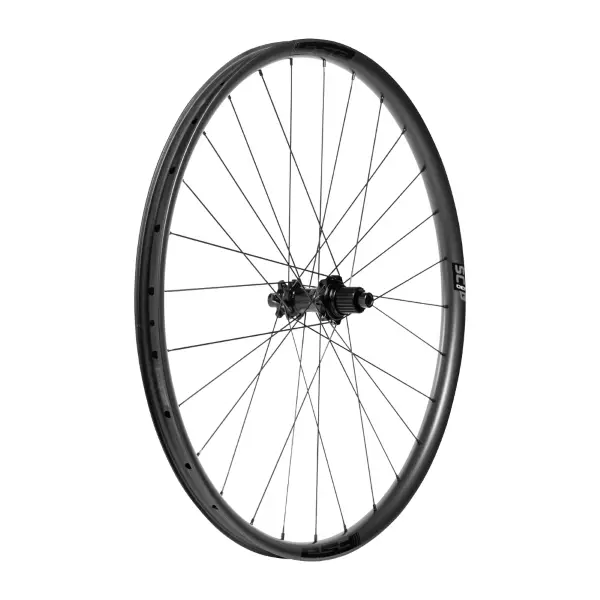 ridewill3959767