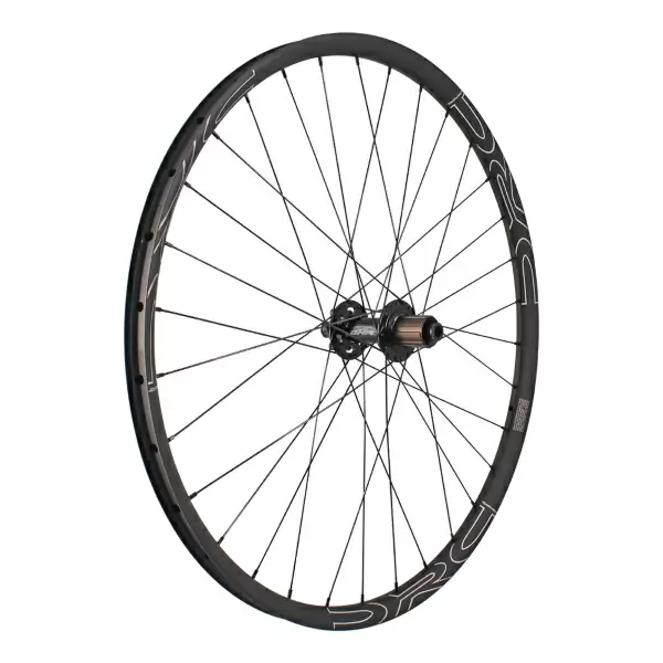ridewill3960063