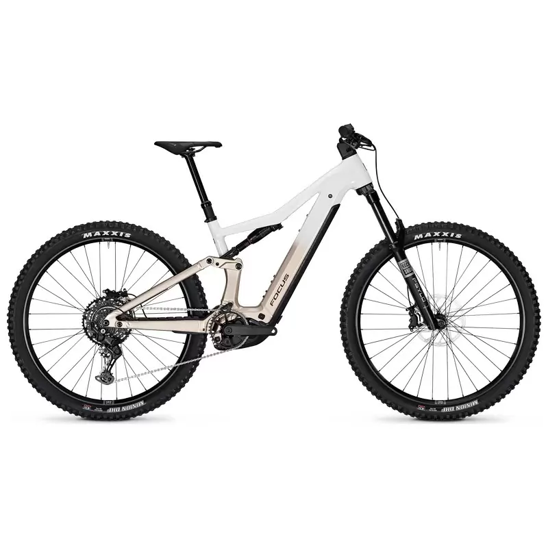 ridewill3973353