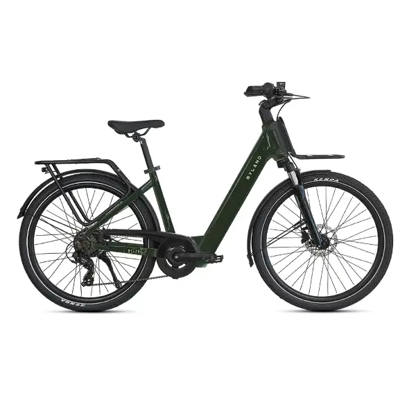 ridewill4005871