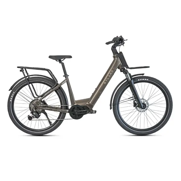 ridewill4006085