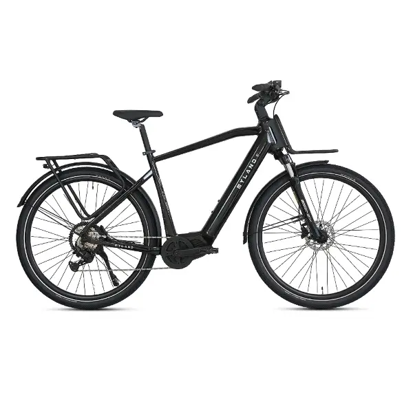 ridewill4006246