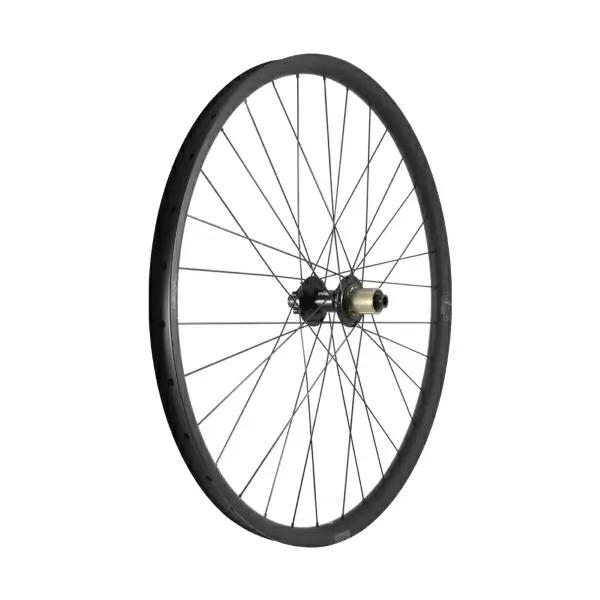 ridewill4009154