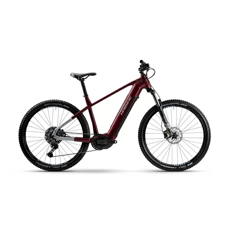 ridewill4028263