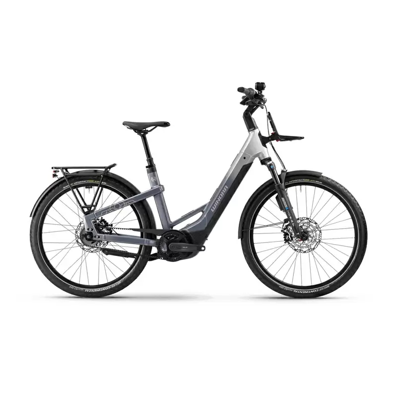 ridewill4029535