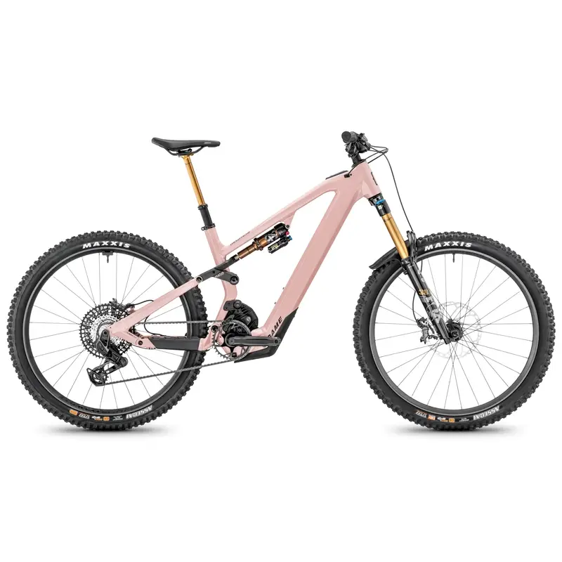 ridewill4089629