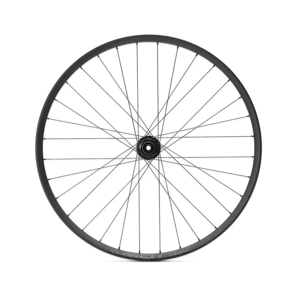 ridewill4098986