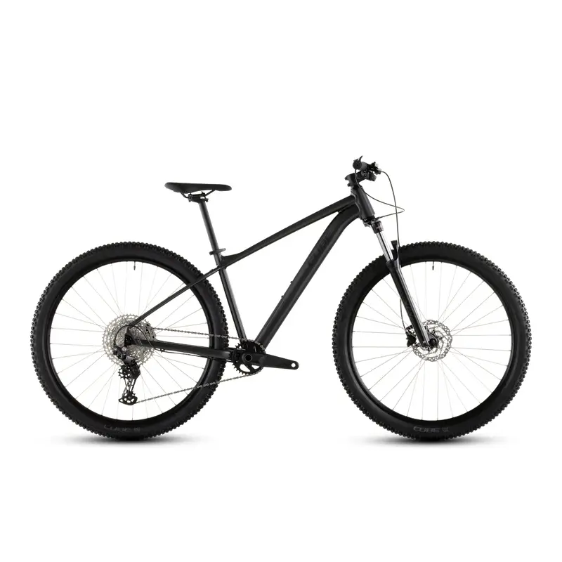 ridewill4158593